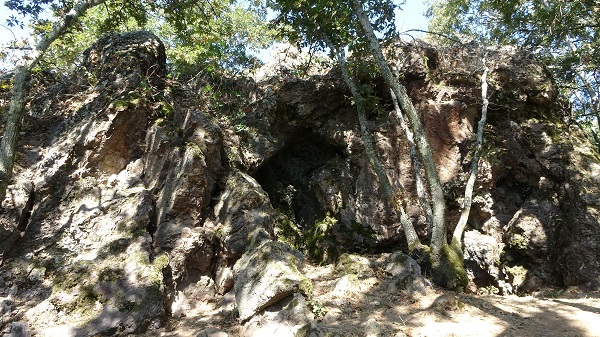 Foto - Kazı çalışmaları sürüyor! 86 bin yıllık büyük keşif