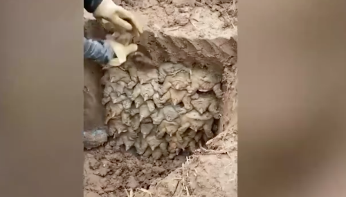 Foto - Kazı çalışması sırasında toprağın altından bakın ne çıktı! Tahmin bile edemeyeceksiniz! Neye uğradıklarını şaşırdılar