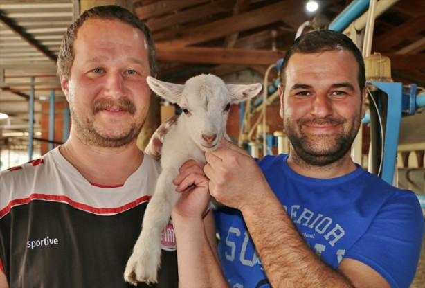 Foto - Keçi çiftliği hayatlarını değiştirdi