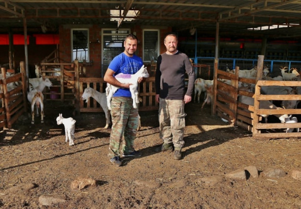 Foto - Keçi çiftliği hayatlarını değiştirdi