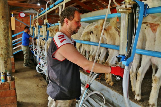 Foto - Keçi çiftliği hayatlarını değiştirdi