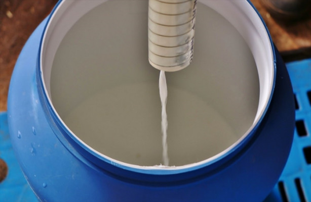 Foto - Keçi çiftliği hayatlarını değiştirdi