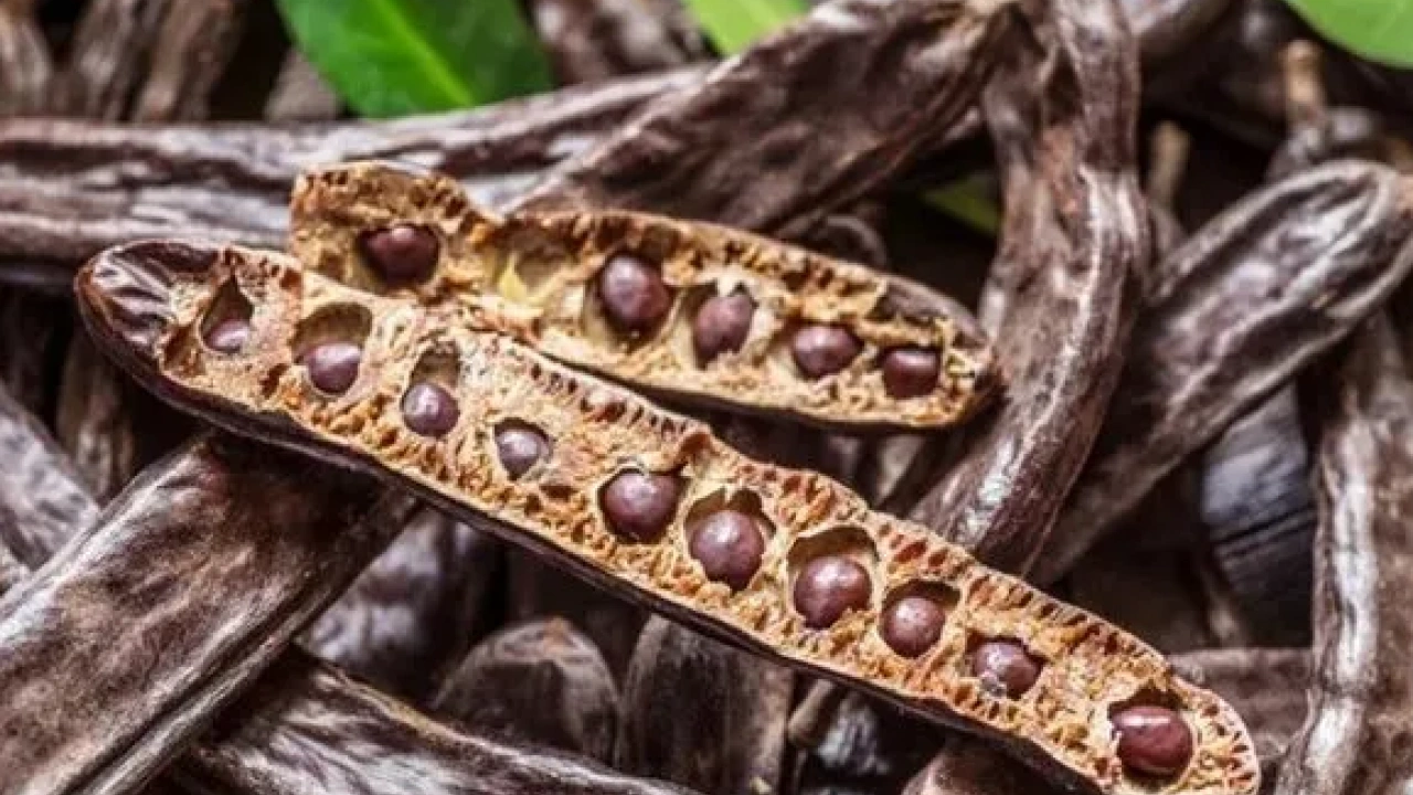 Foto - Keçiboynuzu çayı: Stresi azaltan bir efsane, için! 