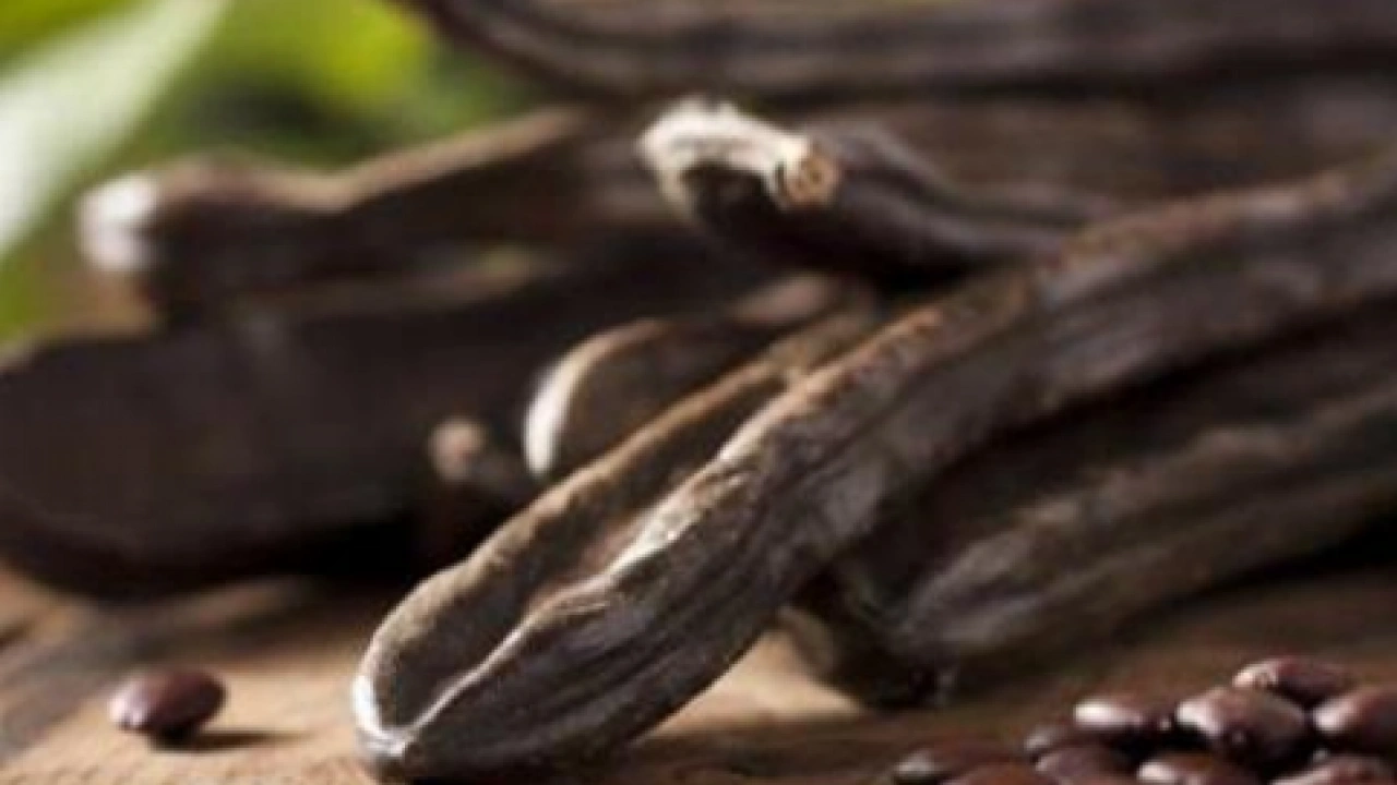 Foto - Keçiboynuzu çayı: Stresi azaltan bir efsane, için! 