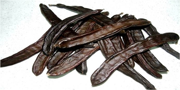 Foto - Keçiboynuzu gastrite iyi geliyor!