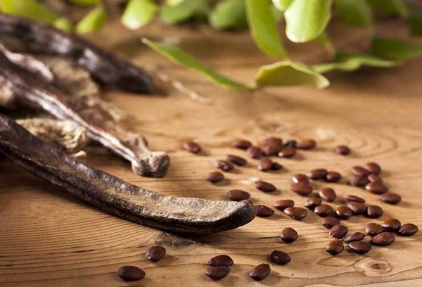 Foto - Keçiboynuzu gastrite iyi geliyor!