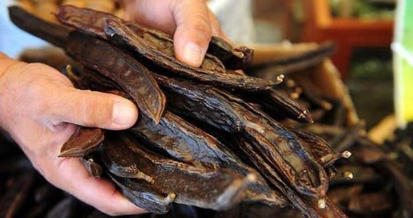 Foto - Keçiboynuzu gastrite iyi geliyor!