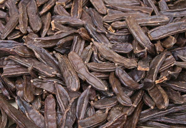 Foto - Keçiboynuzu gastrite iyi geliyor!