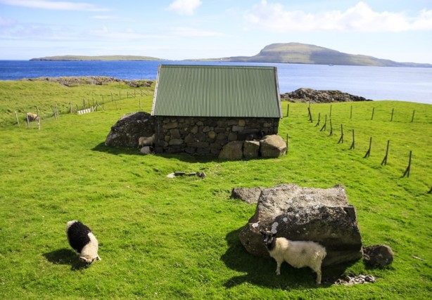 Foto - "Keçiler ülkesi" Faroe Adaları