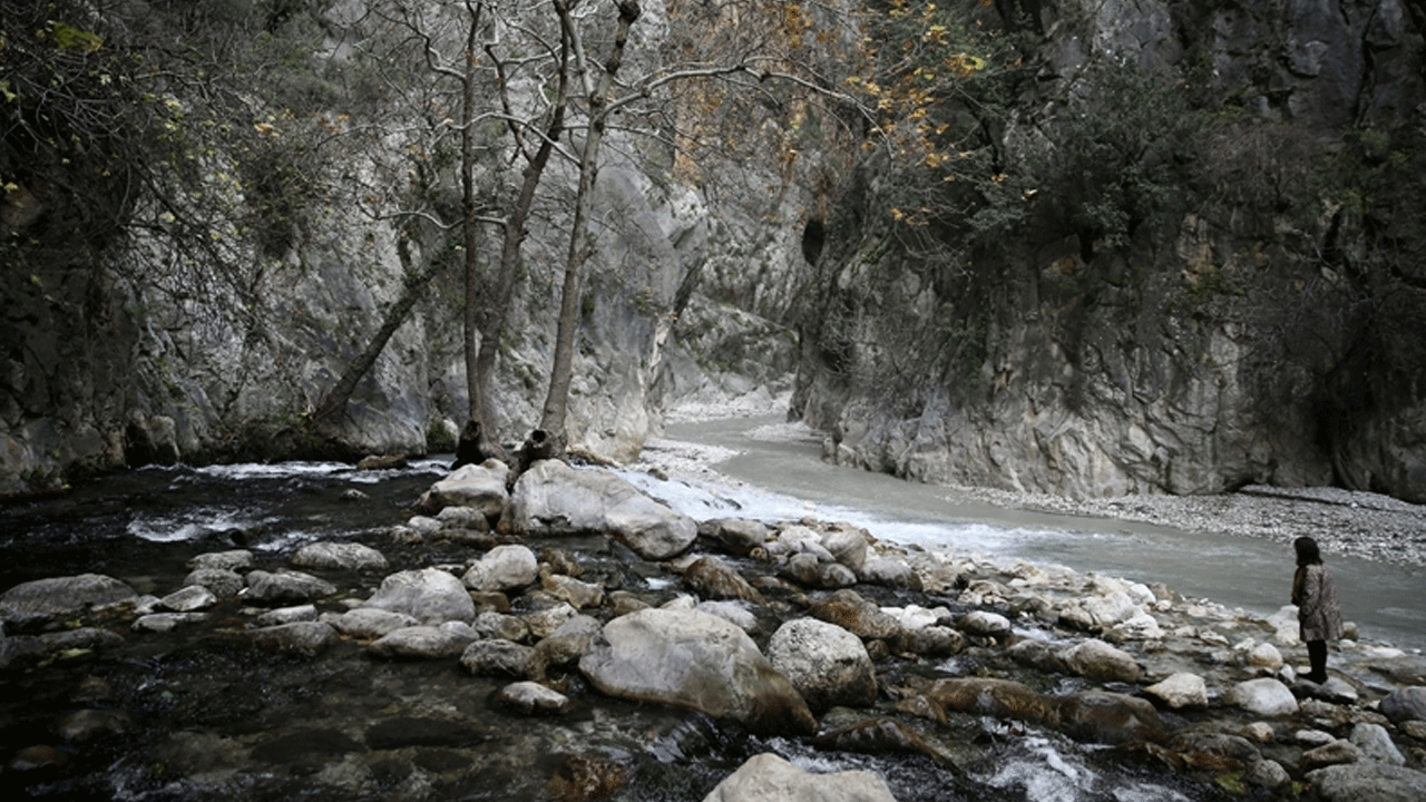 Foto - Keçilerini arayan çobandan müthiş keşif! İnsanlar bölgeye akın ediyor