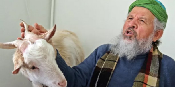 Keçiyle yaşayan adamdan ilginç sözler