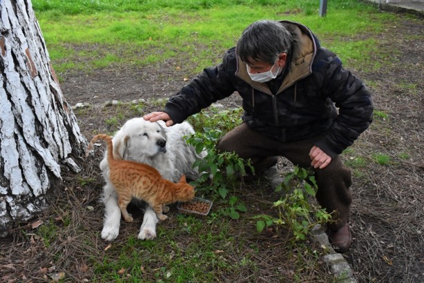 Foto - Kedi ile köpeğin dostluğu görenleri şaşırtıyor