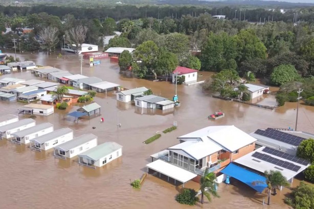 Foto - Kedi katlettiler, pandemi oldu! Deve katlettiler, sel oldu!
