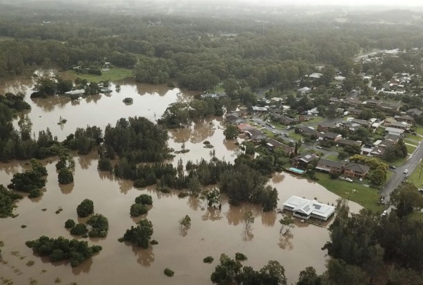 Foto - Kedi katlettiler, pandemi oldu! Deve katlettiler, sel oldu!