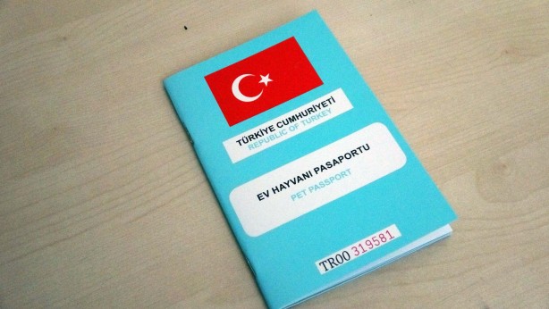 Foto - Kedi ve köpek sahipleri dikkat! Yasal süre doluyor