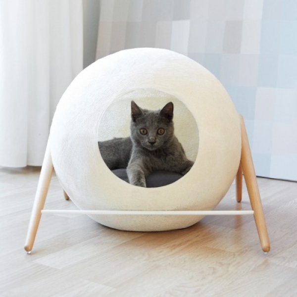 Foto - Kediler için tasarlanan muhteşem daire