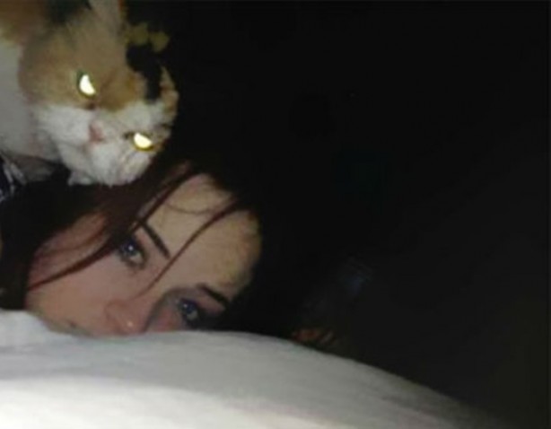 Foto - Kedilerden korkutan görüntüler