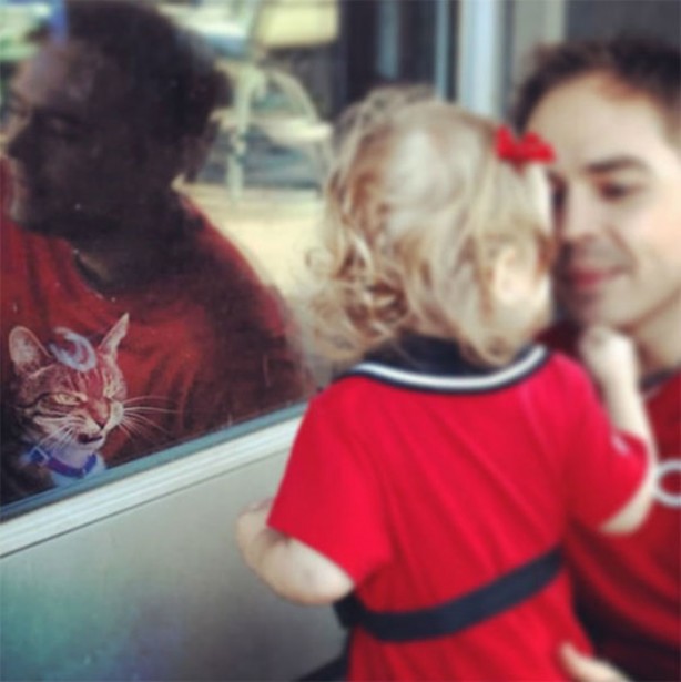 Foto - Kedilerden korkutan görüntüler