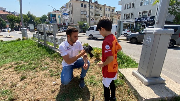 Foto - Kedinin ağzından aldıkları karga dostları oldu