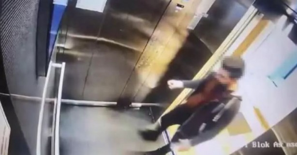 Foto - Kediyi tekmeleyerek öldüren sanık tekrar yargılanacak