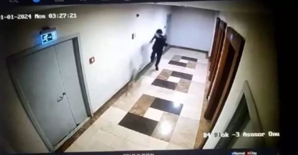 Kediyi tekmeleyerek öldüren sanık tekrar yargılanacak