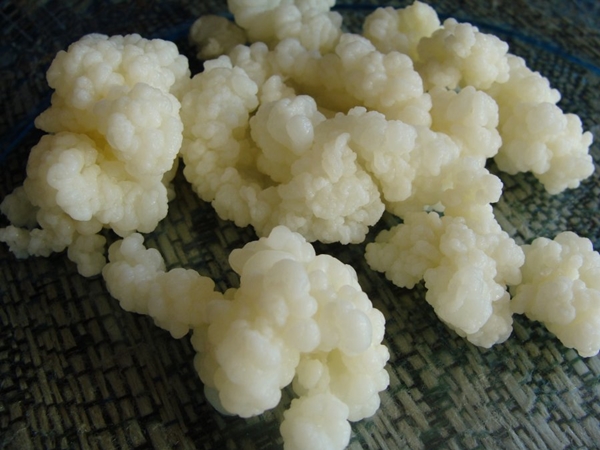 Foto - Kefir uykusuzluğu ortadan kaldırıyor!