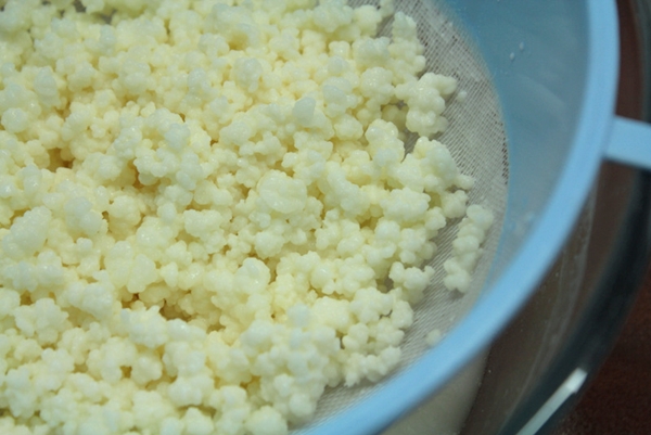 Kefir uykusuzluğu ortadan kaldırıyor!