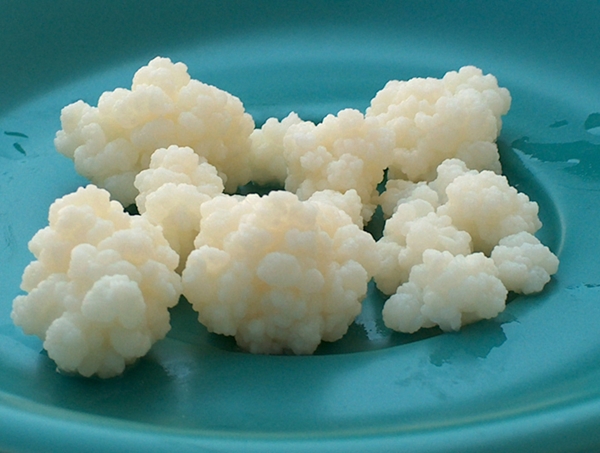 Foto - Kefir uykusuzluğu ortadan kaldırıyor!