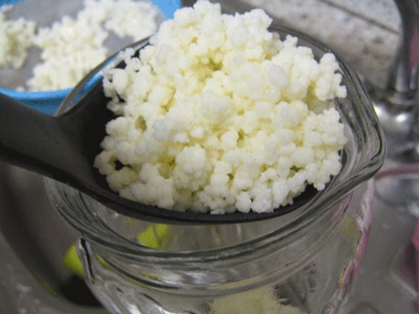 Foto - Kefir uykusuzluğu ortadan kaldırıyor!