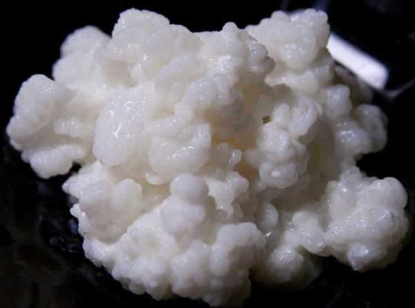 Foto - Kefir uykusuzluğu ortadan kaldırıyor!