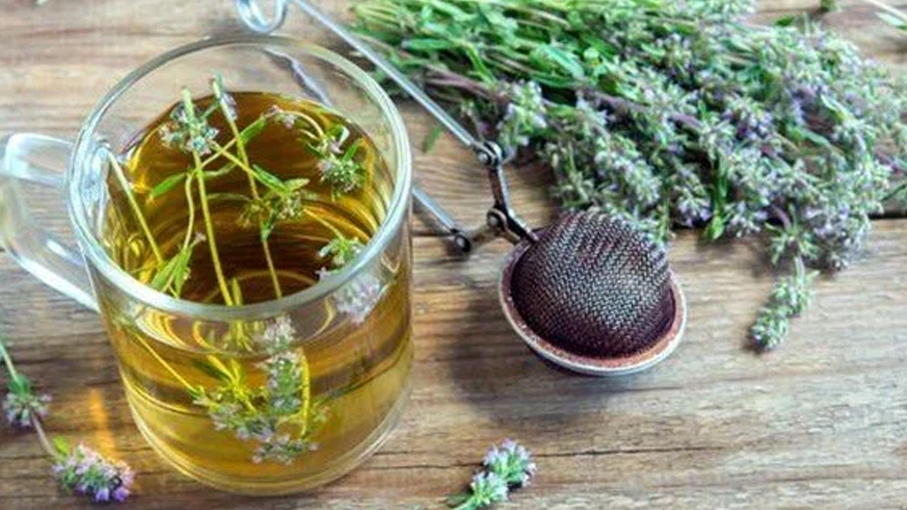 Foto - Kekik: Vücuttaki iltihapa karşı etkili! Dikkat yapan şifa bulur! Kış hastalıklarına yeşil renk baharat adeta kalkan! Vitamin deposu