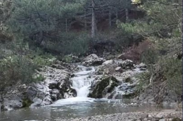 Foto - Kelebekler o nehrin kıyısını mesken edindi! 