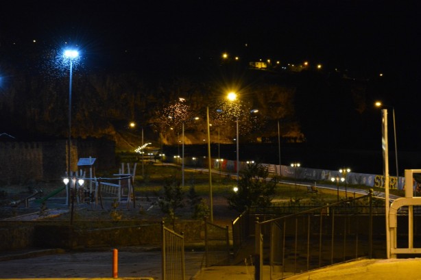 Foto - 'Kelebeklerin ölüm dansı' Ardahan'da görüntülendi!