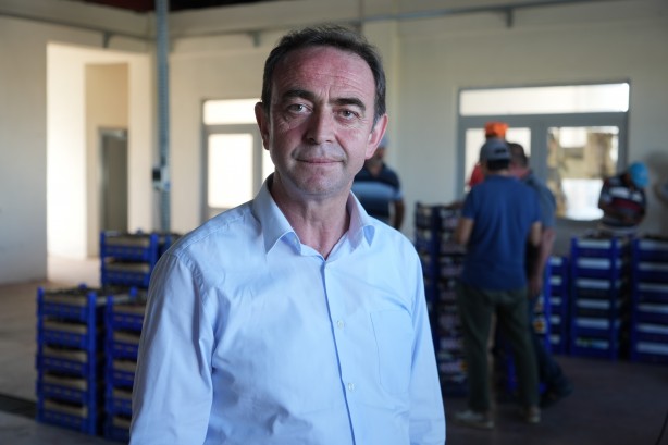 Foto - Keles kirazında 22 bin ton rekolte bekleniyor! Son hasat yüzleri güldürdü