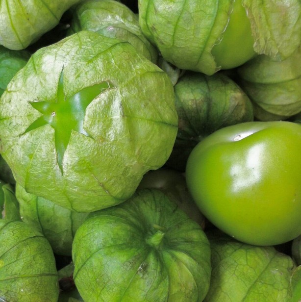 Foto - Kelliğe derman olan tek yiyecek tomatillo! Herkes çılgınlar gibi siparişi verdi, siz de satın alın! Muhteşem deneyin