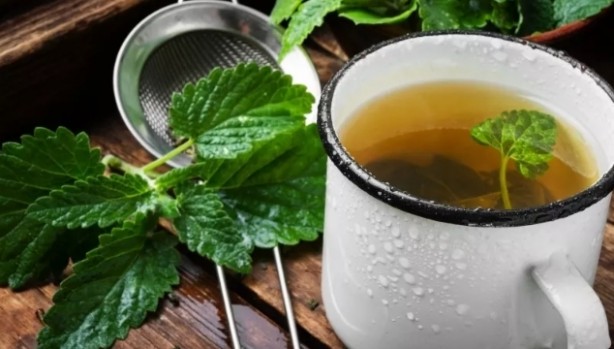 Foto - Kellik için birebir! Günde 1 fincan yetiyor