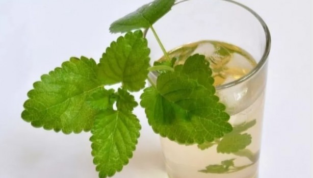 Foto - Kellik için birebir! Günde 1 fincan yetiyor