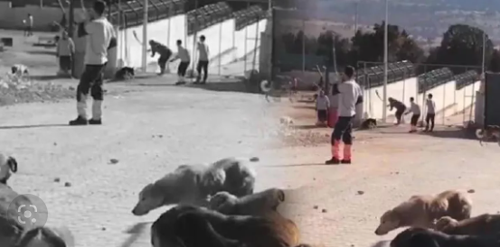 Foto - Kemal Kılıçdaroğlu Kasım'ı işaret etmişti! Kasım'a damga vuran hangi olayı kastetti?