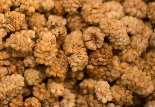 Foto - Kemik ağrılarınıza ilaç gibi gelecek 8 yiyecek