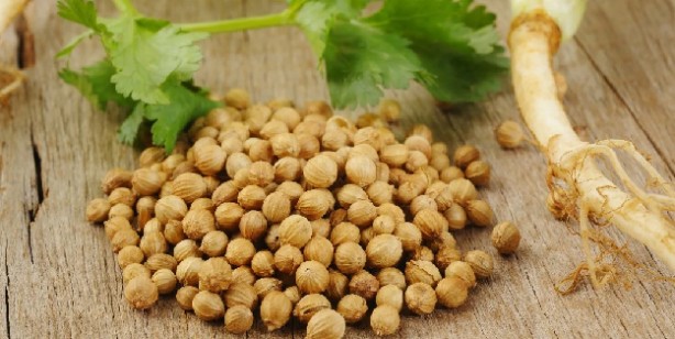 Foto - Kemik erimesine ne iyi gelir?