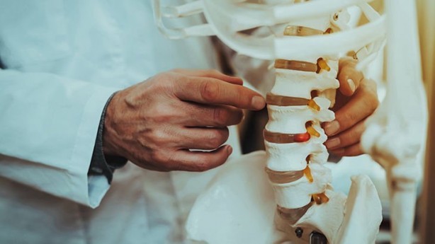 Foto - Kemik ve diş sağlığı için kalsiyum zengini en iyi 13 gıda