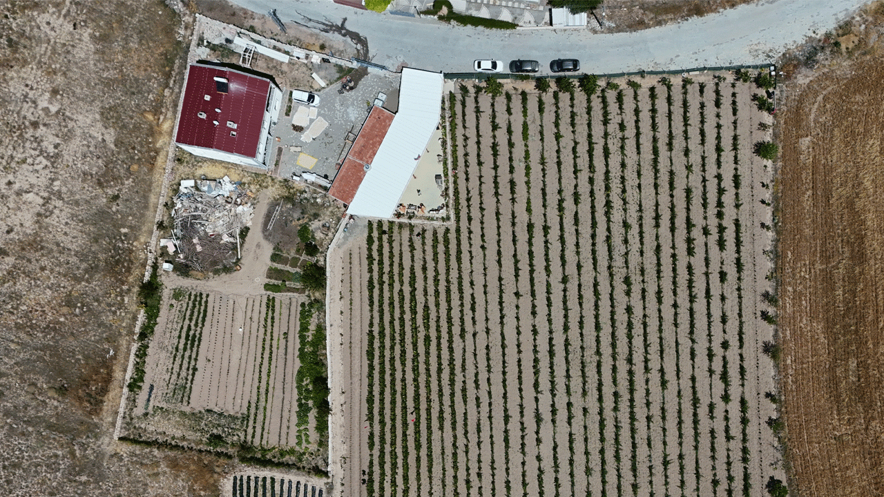 Foto - Kendi elleriyle topluyorlar: Hobi olarak başladı şimdi paraya para demiyor!