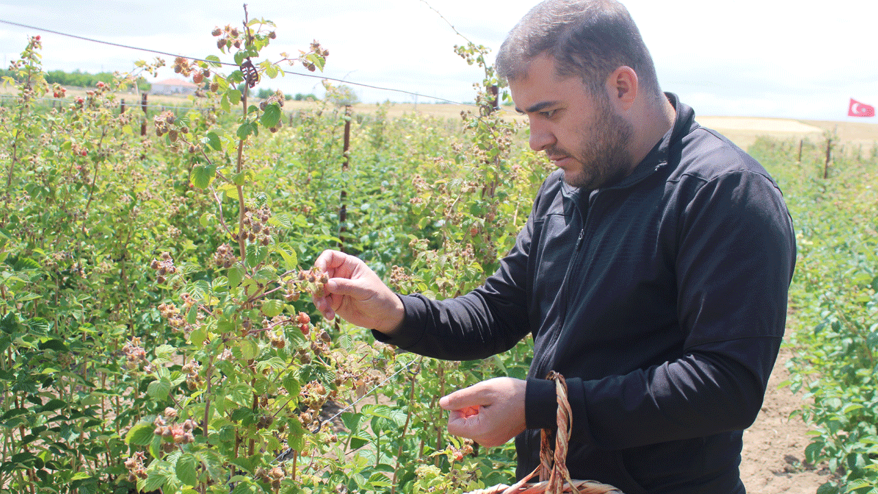 Foto - Kendi elleriyle topluyorlar: Hobi olarak başladı şimdi paraya para demiyor!