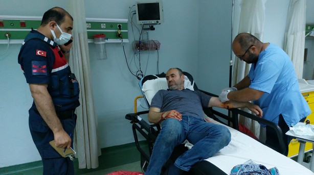 Foto - Kendi köpeklerinin saldırısına uğradılar!