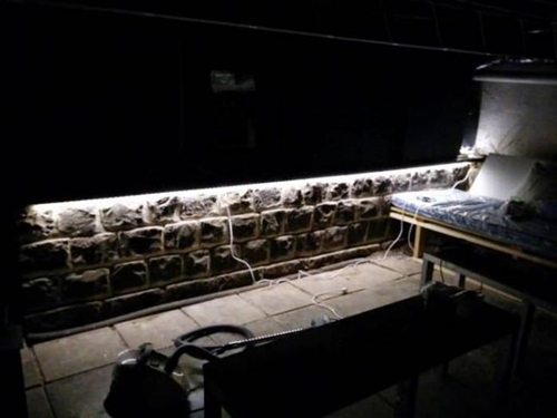 Foto - Kendi sinema salonunu kendi yaptı