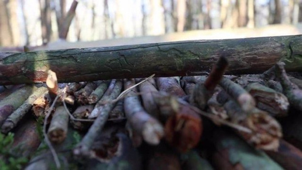Foto - Kendi yaptığı ilkel malzemelerle bakın ne inşa etti!