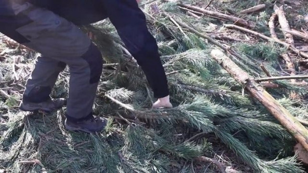 Foto - Kendi yaptığı ilkel malzemelerle bakın ne inşa etti!