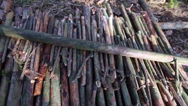 Foto - Kendi yaptığı ilkel malzemelerle bakın ne inşa etti!