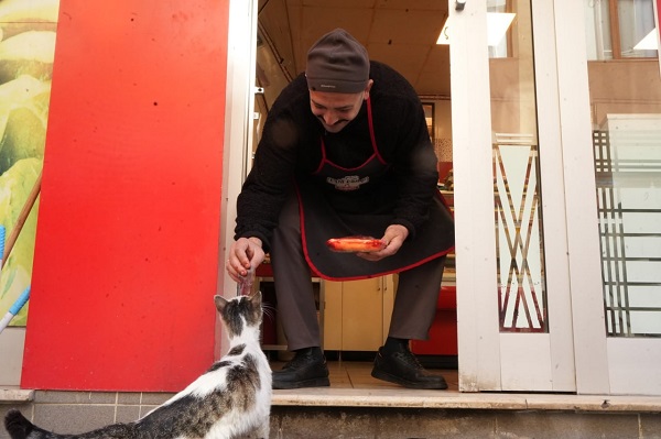 Kendi yemedi yavrularını düşündü! O kedi bakın nasıl ödülünü aldı