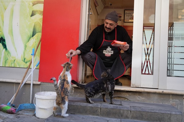 Foto - Kendi yemedi yavrularını düşündü! O kedi bakın nasıl ödülünü aldı